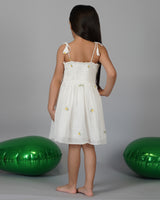 Mango and Parrot Jamdani frock