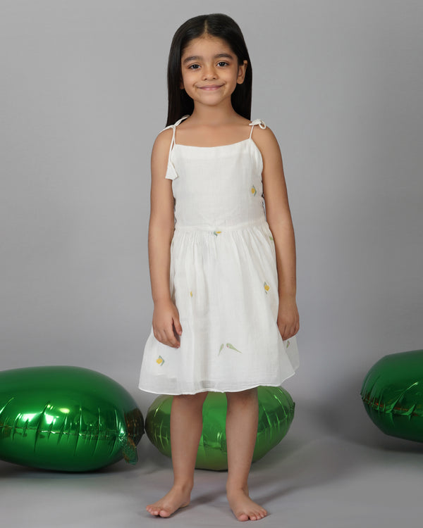 Mango and Parrot Jamdani frock
