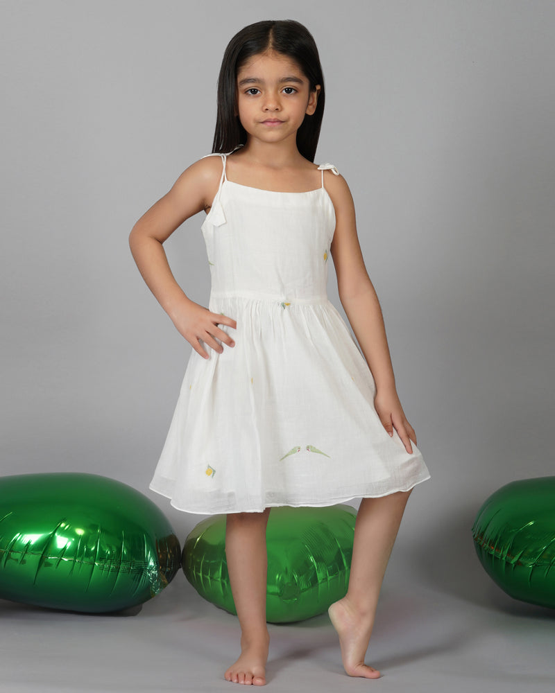 Mango and Parrot Jamdani frock
