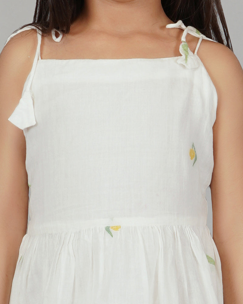 Mango and Parrot Jamdani frock