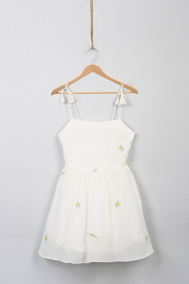 Mango and Parrot Jamdani frock